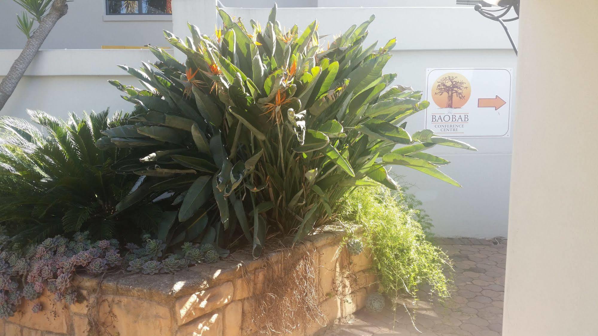 The Baobab Villa Midrand Dış mekan fotoğraf
